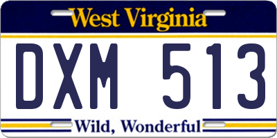 WV license plate DXM513