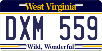WV license plate DXM559