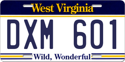 WV license plate DXM601
