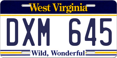 WV license plate DXM645