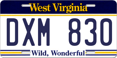 WV license plate DXM830
