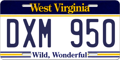 WV license plate DXM950