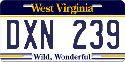 WV license plate DXN239