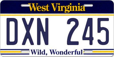 WV license plate DXN245
