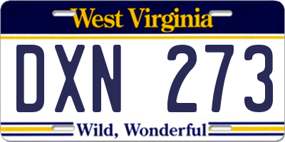 WV license plate DXN273