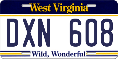 WV license plate DXN608