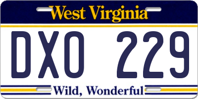 WV license plate DXO229