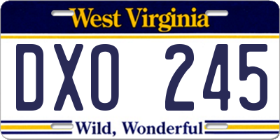 WV license plate DXO245