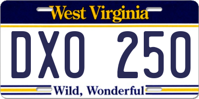 WV license plate DXO250