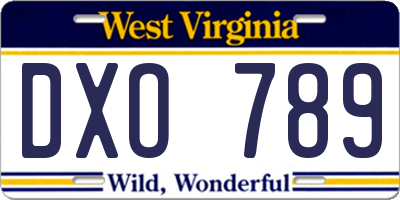WV license plate DXO789