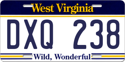 WV license plate DXQ238