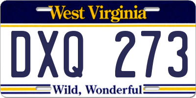 WV license plate DXQ273