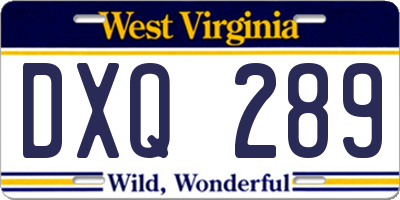 WV license plate DXQ289