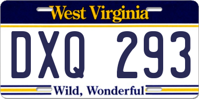WV license plate DXQ293