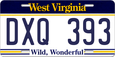 WV license plate DXQ393