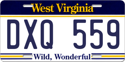 WV license plate DXQ559