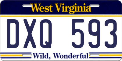 WV license plate DXQ593