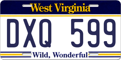 WV license plate DXQ599