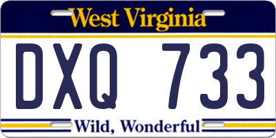 WV license plate DXQ733