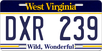 WV license plate DXR239