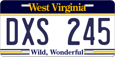 WV license plate DXS245