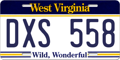 WV license plate DXS558