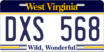 WV license plate DXS568