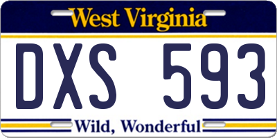 WV license plate DXS593