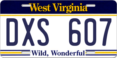 WV license plate DXS607