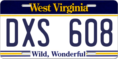 WV license plate DXS608