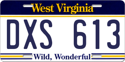 WV license plate DXS613