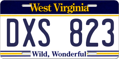 WV license plate DXS823