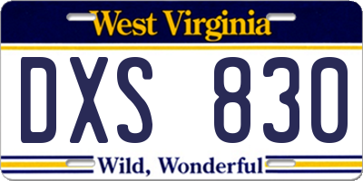 WV license plate DXS830