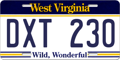 WV license plate DXT230