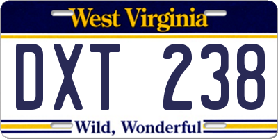 WV license plate DXT238
