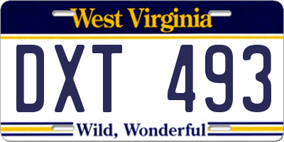 WV license plate DXT493