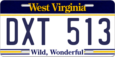 WV license plate DXT513