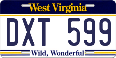 WV license plate DXT599