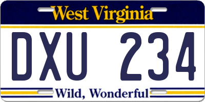 WV license plate DXU234