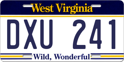 WV license plate DXU241