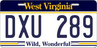WV license plate DXU289