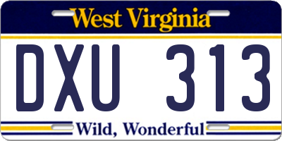 WV license plate DXU313