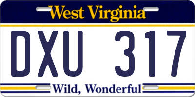 WV license plate DXU317