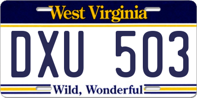 WV license plate DXU503