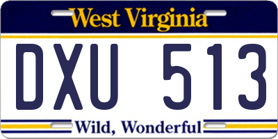 WV license plate DXU513