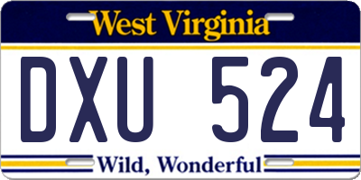 WV license plate DXU524