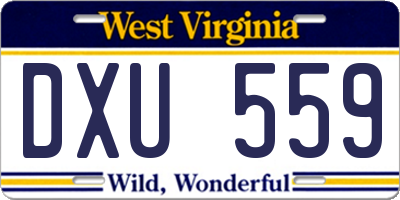 WV license plate DXU559