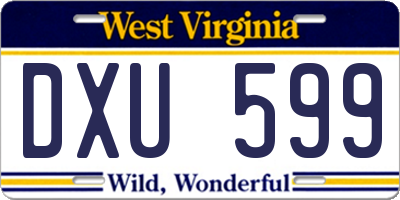 WV license plate DXU599