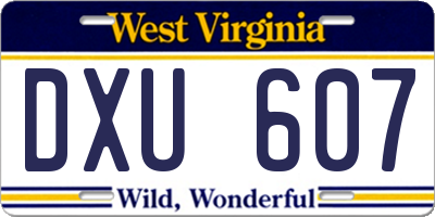 WV license plate DXU607