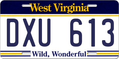 WV license plate DXU613